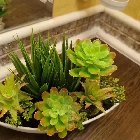 Royal Sea G Апартамент *