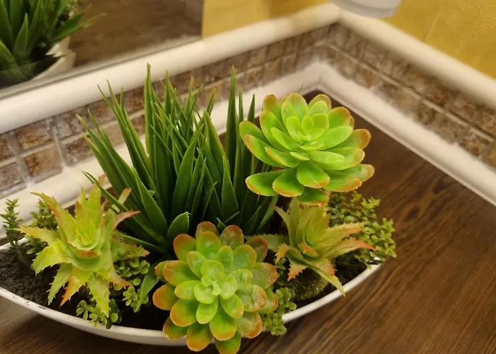 Royal Sea G Appartement *